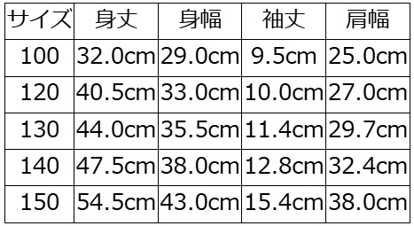 BRK-12 ブランドロゴキッズTシャツ12 BRK12 DELUXEWARE デラックスウエアTシャツ キッズTシャツ 子供服の画像