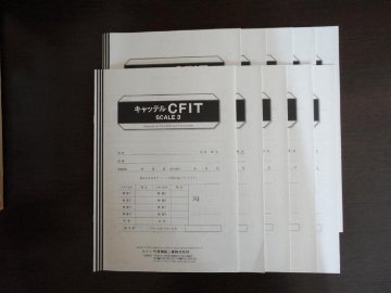 キャッテルCFIT知能検査用紙10枚セットの画像
