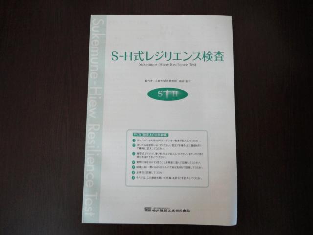 レジリエンス検査用紙100枚セットの画像
