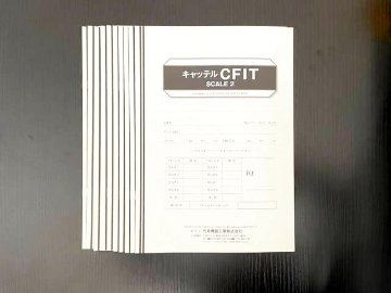 【スケール2】キャッテルCFIT知能検査用紙10枚セット画像
