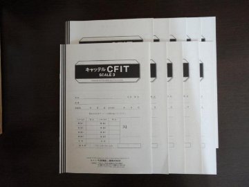キャッテルCFIT知能検査用紙10枚セット画像