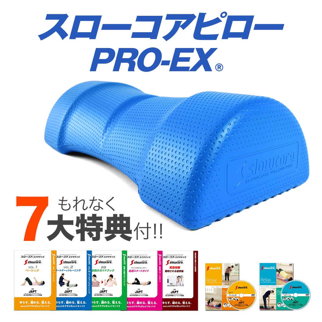 スローコアピローPRO-EX 《パーフェクトガイド付》の画像