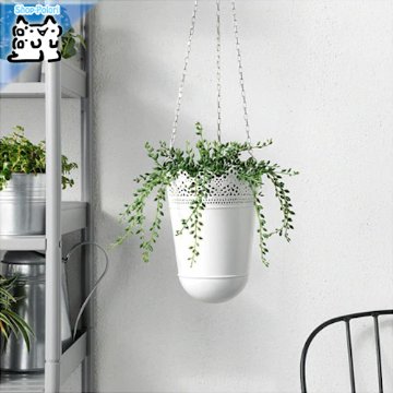 【IKEA Original】FEJKA -フェイカ- 人工観葉植物 室内/屋外用 グリーンネックレス 9 cm画像