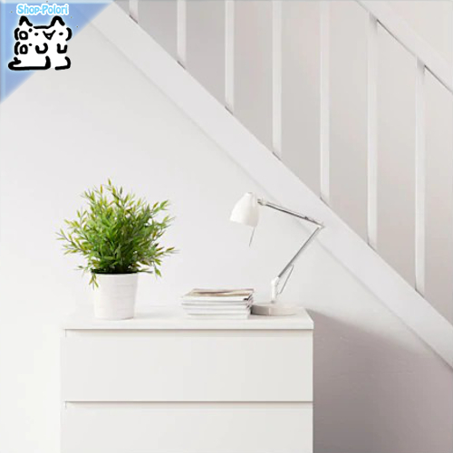 【IKEA Original】FEJKA -フェイカ- 人工観葉植物 室内/屋外用 House bamboo 9 cm画像