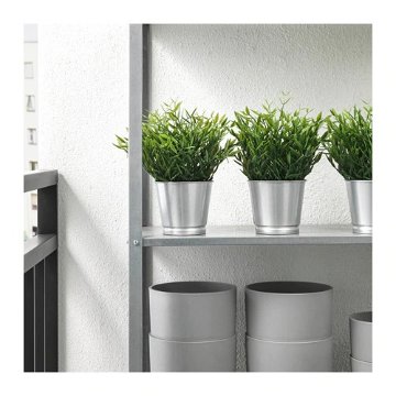 【IKEA Original】FEJKA -フェイカ- 人工観葉植物 室内/屋外用 House bamboo 9 cm画像