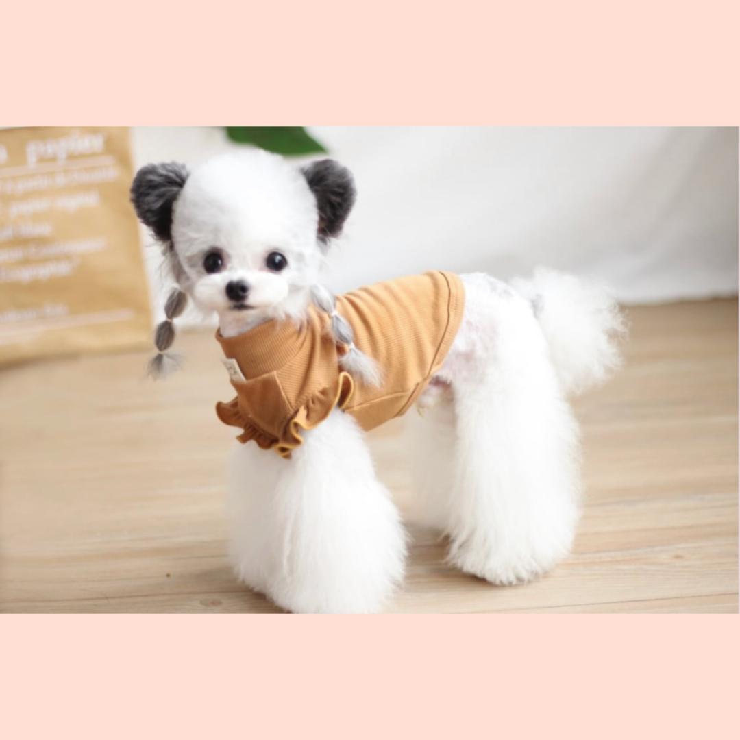 袖フリルラテトップスの画像