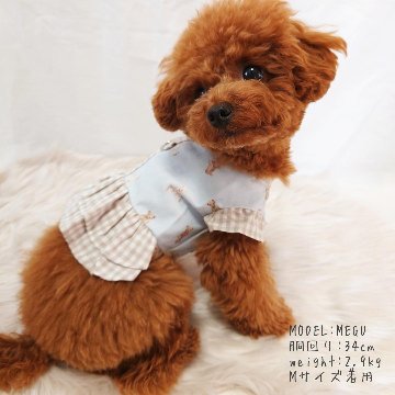 LASTアイボリーLのみ)bear frill ハーネストップスの画像