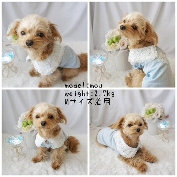 ロマンティックトップスの画像