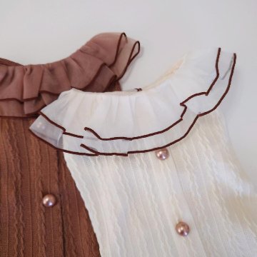 frill lace ノースリーブトップスの画像