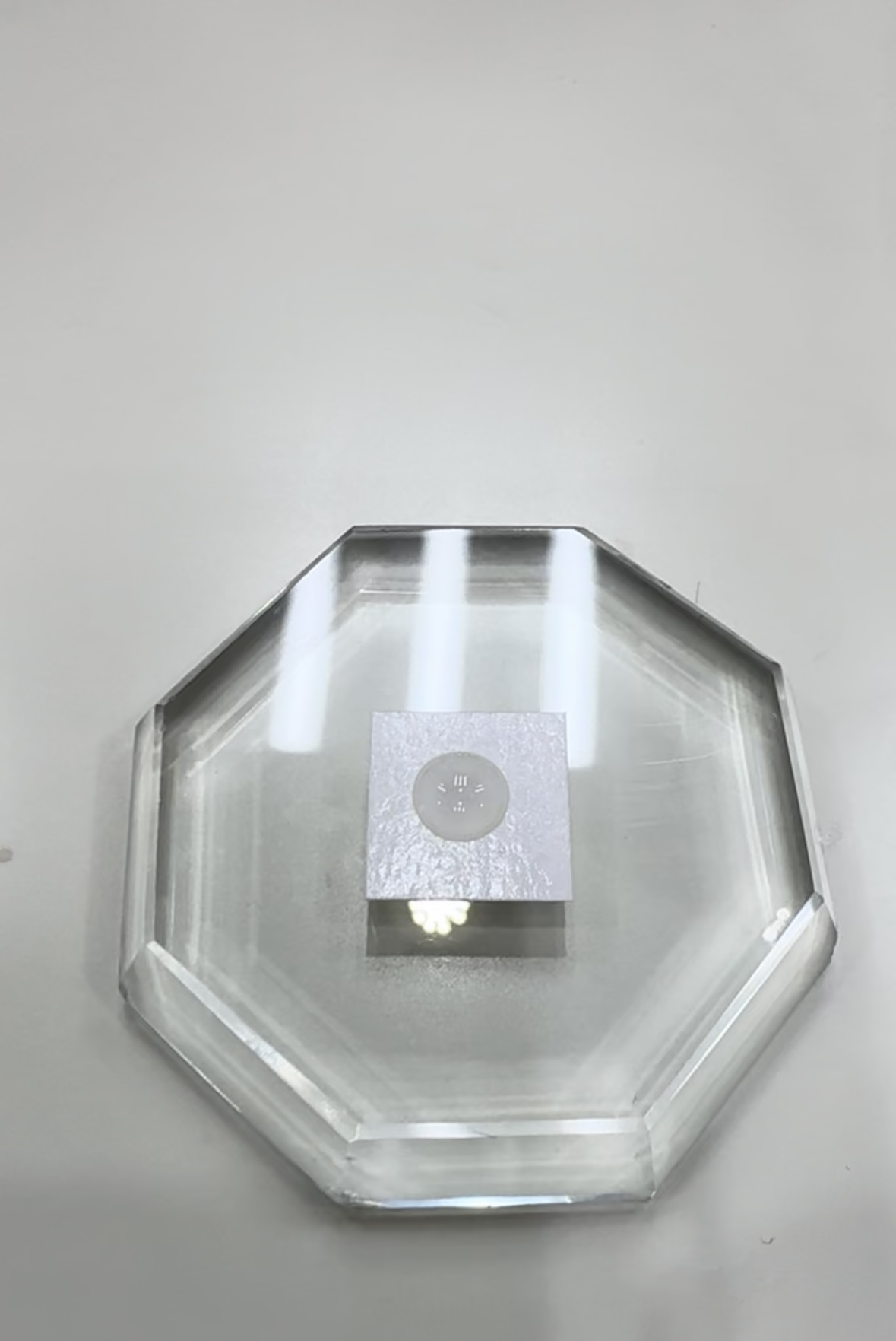 0.3秒硬化 LEDスピードグルー 5ml LEDまつ毛エクステ専用グルー LED LASHの画像