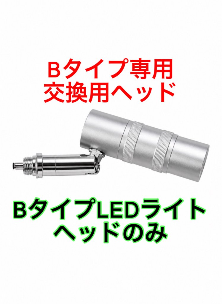 ライトヘッド部分単品販売 【Bタイプ専用】の画像