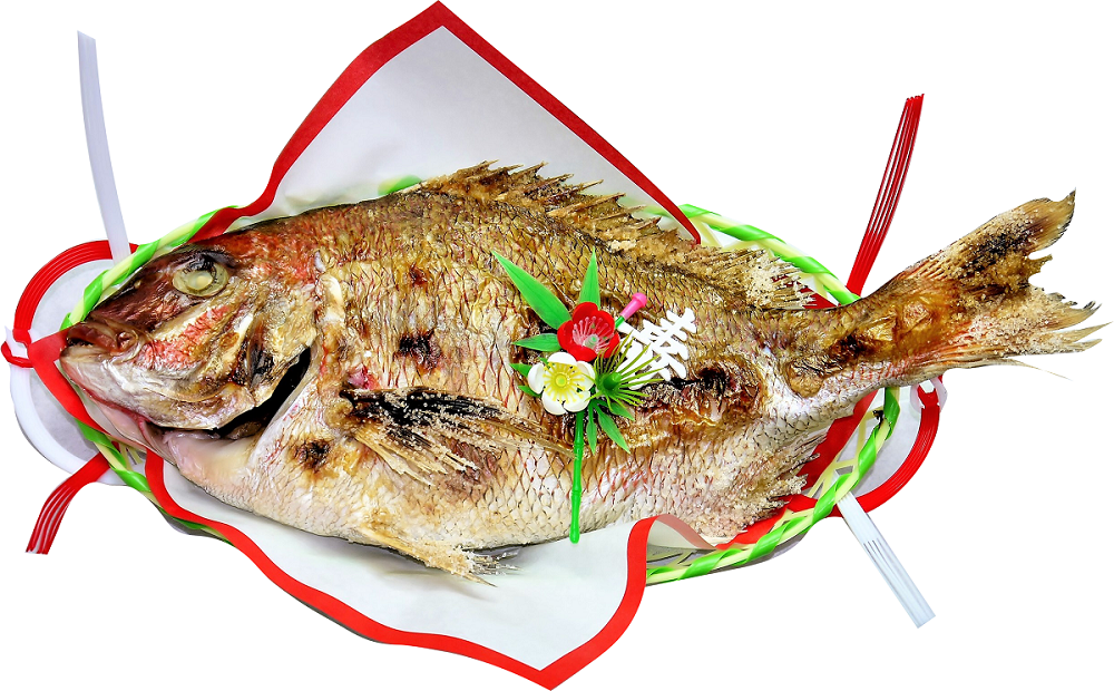 祝い鯛 （約50cm)｜鮮魚たかぎ守山店