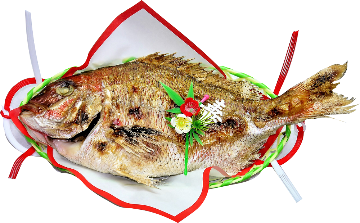 祝い鯛 （約30cm)｜鮮魚たかぎ 宝塚阪急店
