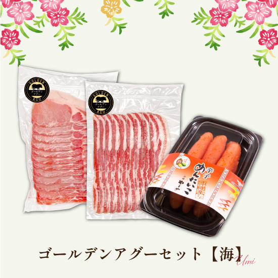 【送料無料】12/22まで早割!! ゴールデンアグーセット "海A"の画像