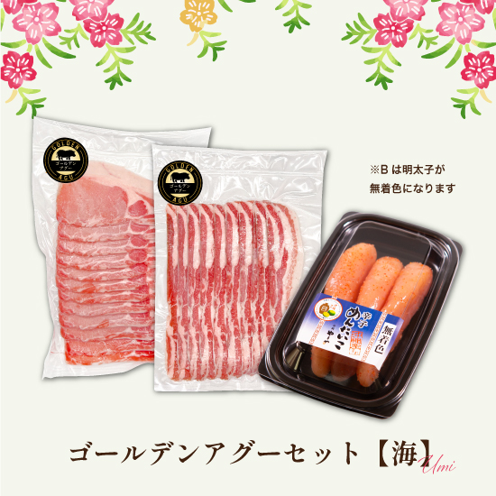 【送料無料】12/22まで早割!! ゴールデンアグーセット "海B"の画像