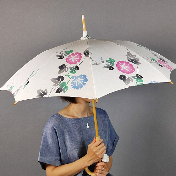 日傘　アサガオの画像