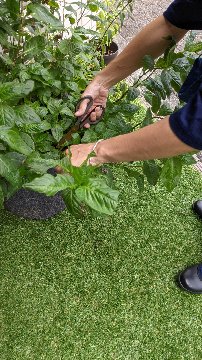 お客様専用ページ 　U  様の画像