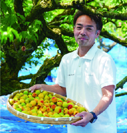 うまい梅のながおかやの画像
