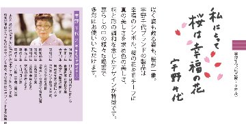 宇野千代の愛した桜の風呂敷  江戸ざくら ワイン（菊紋入り）の画像