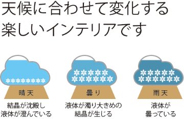 ストームグラス（菊紋入り）の画像