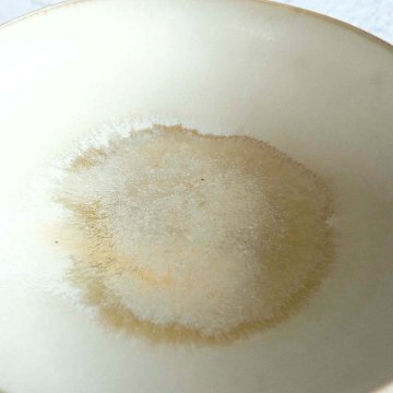 丸平鉢の画像