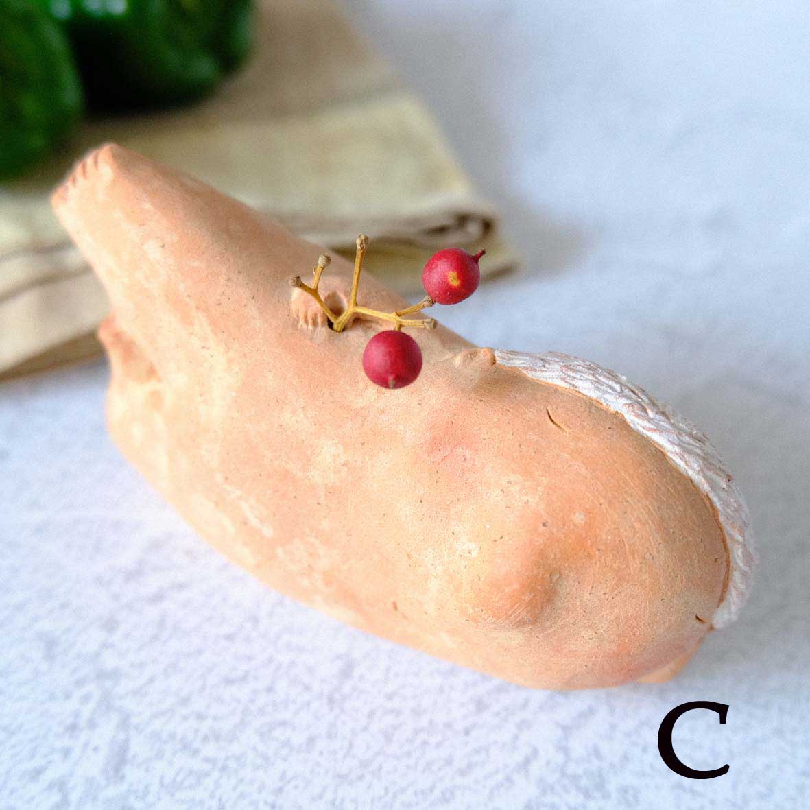 ｃｏｍｏｄｏ族の画像