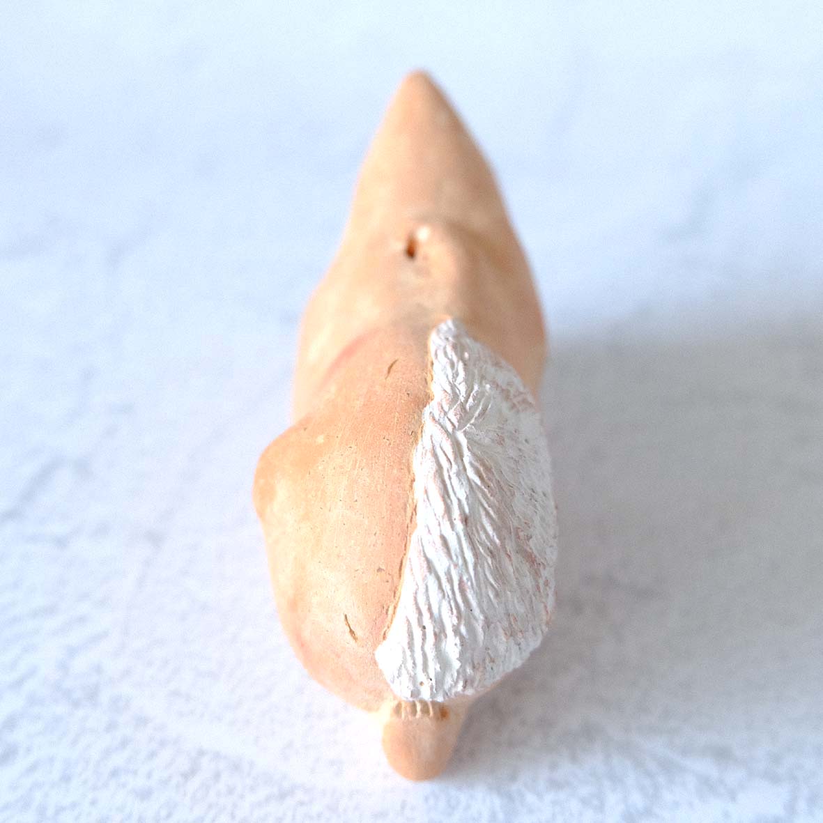 ｃｏｍｏｄｏ族の画像