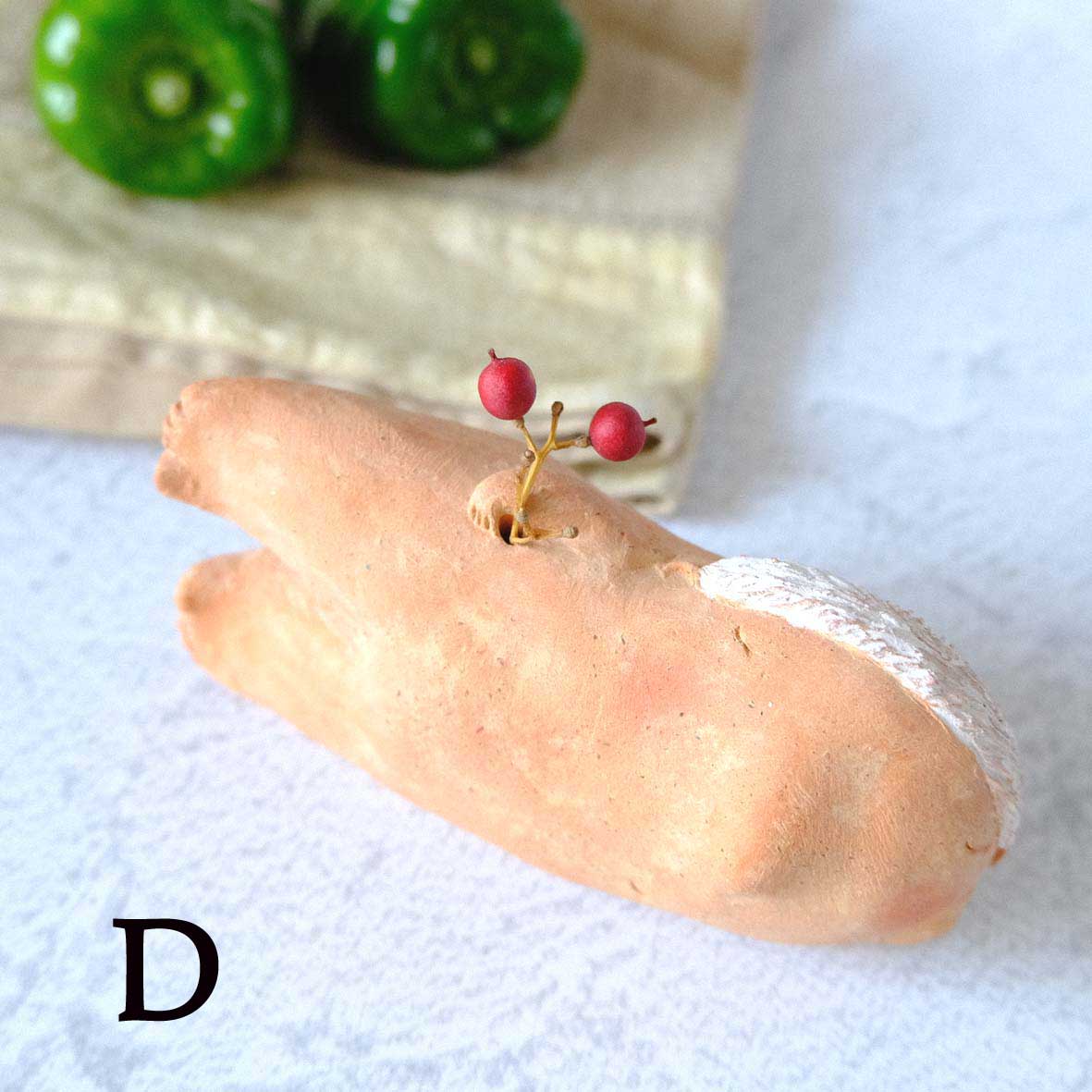 ｃｏｍｏｄｏ族の画像