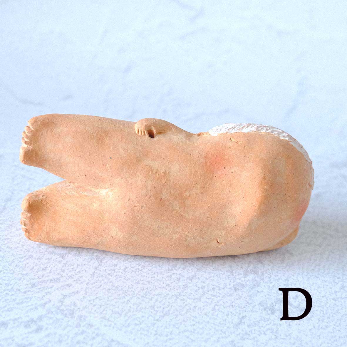 ｃｏｍｏｄｏ族の画像