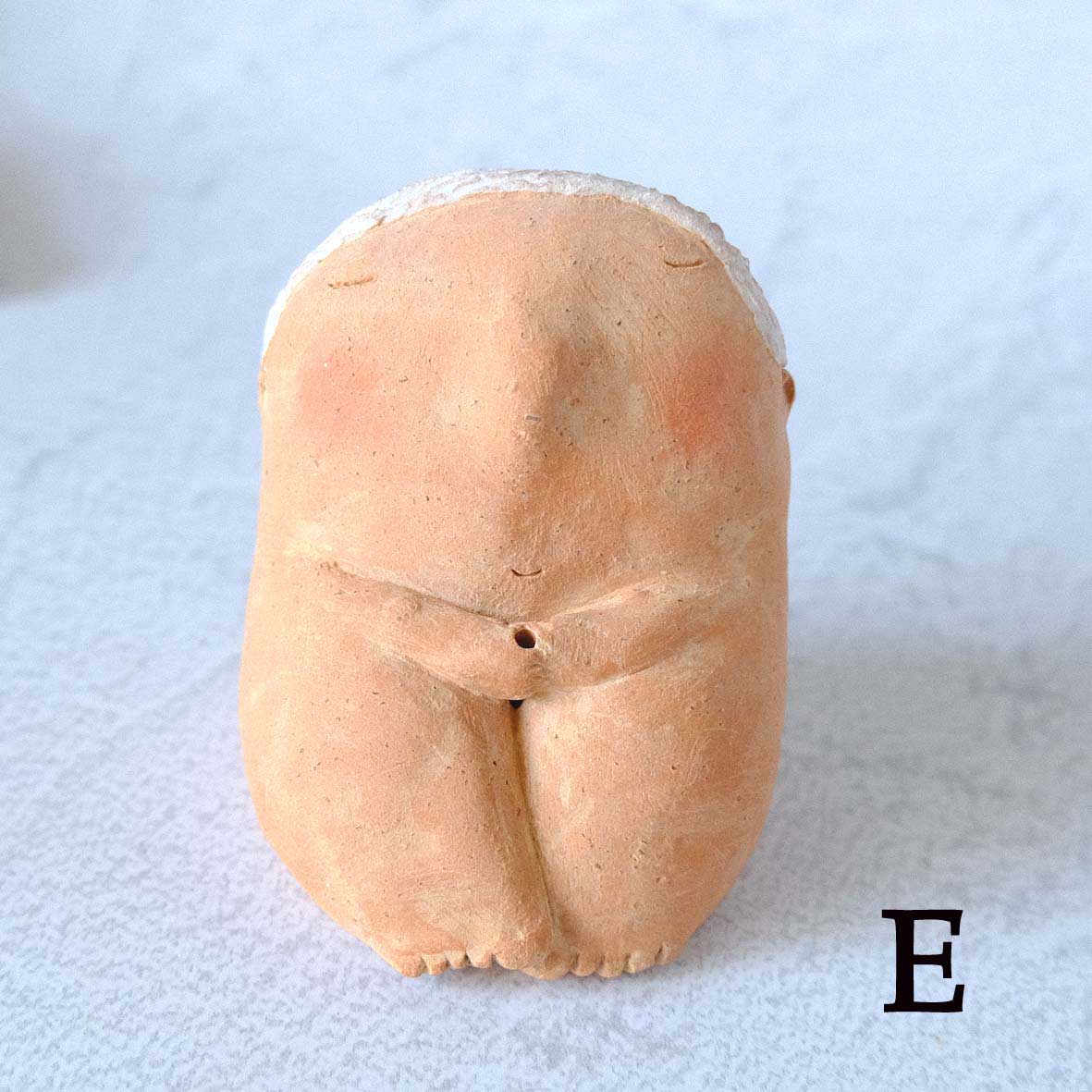 ｃｏｍｏｄｏ族の画像