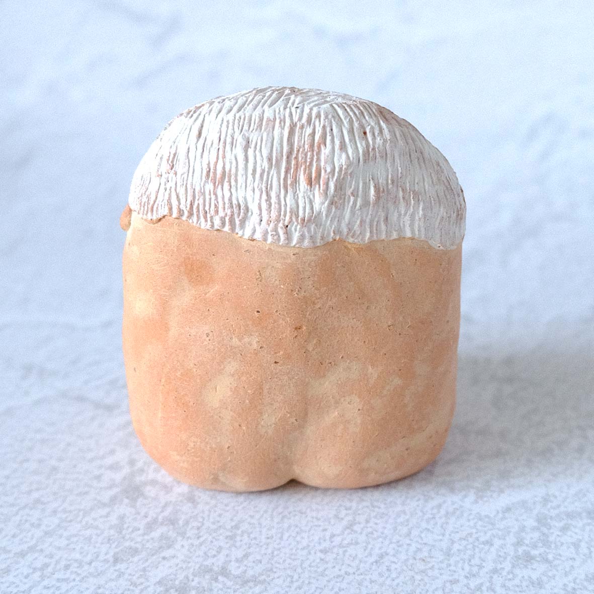 ｃｏｍｏｄｏ族の画像