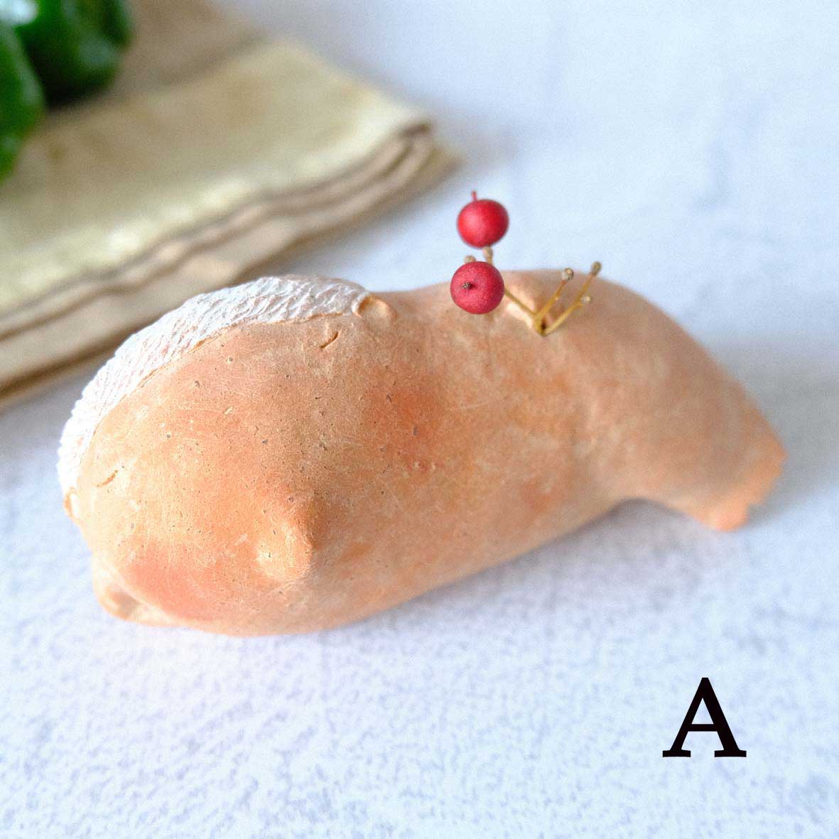 ｃｏｍｏｄｏ族の画像