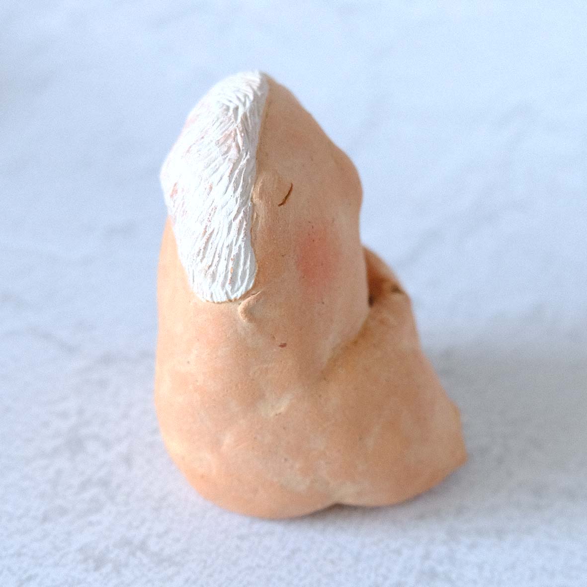 ｃｏｍｏｄｏ族の画像