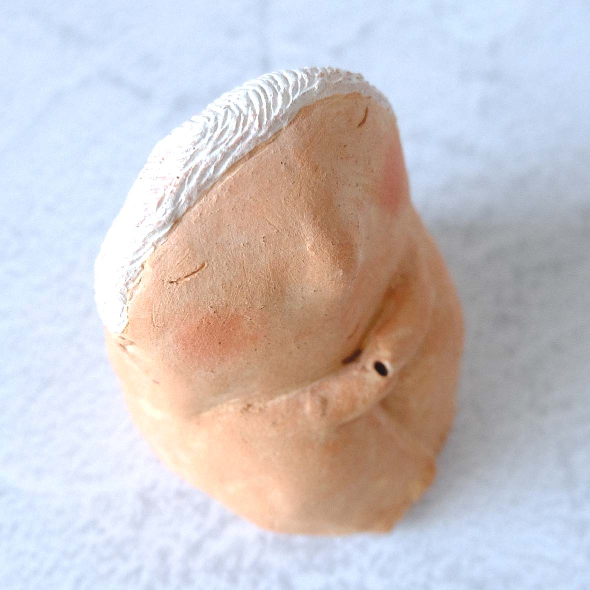 ｃｏｍｏｄｏ族の画像