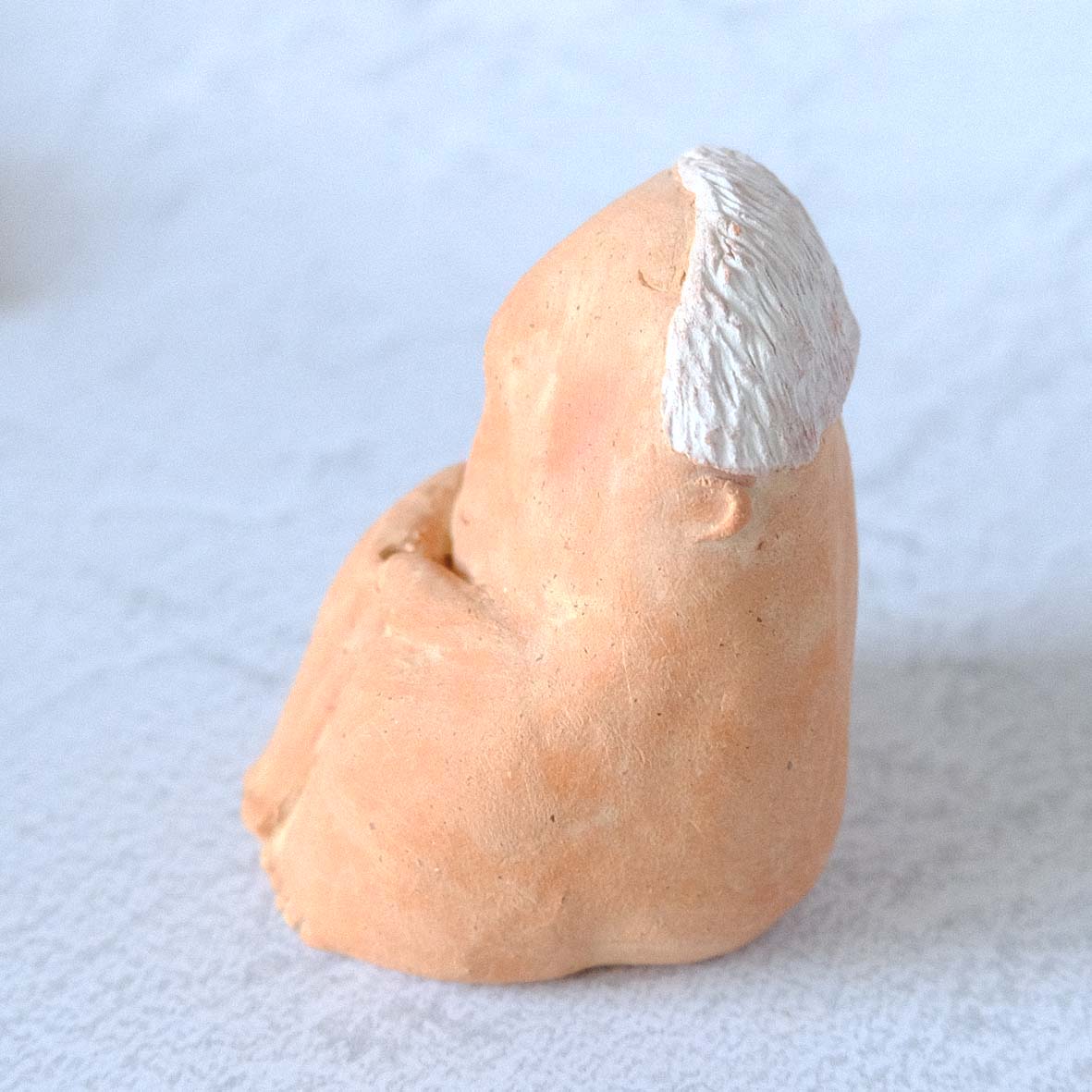 ｃｏｍｏｄｏ族の画像