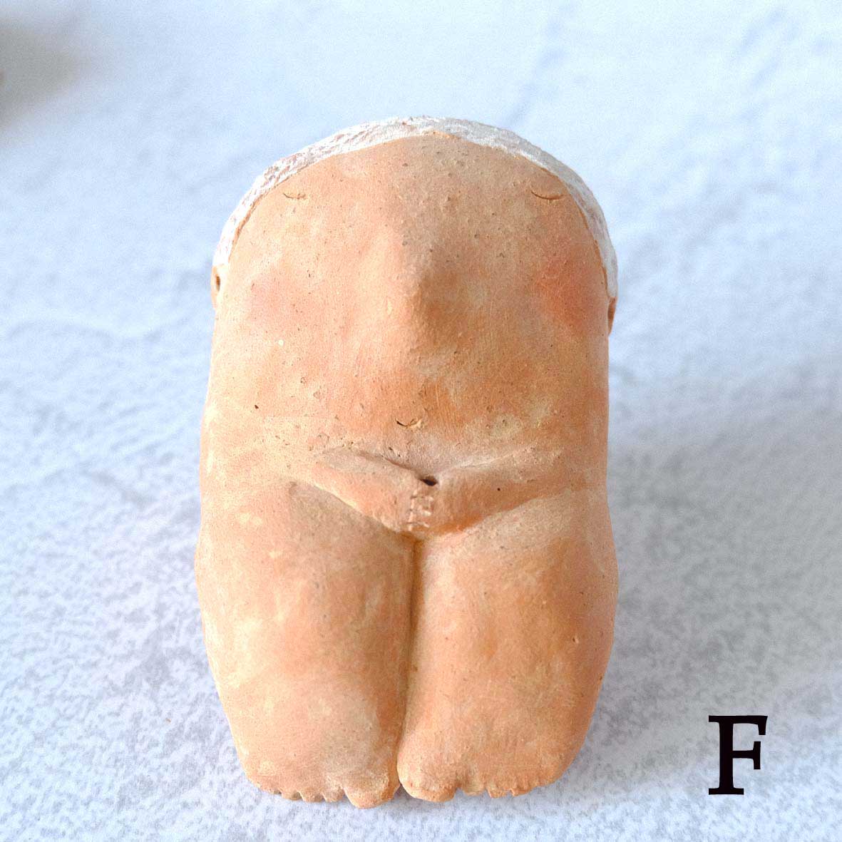 ｃｏｍｏｄｏ族の画像