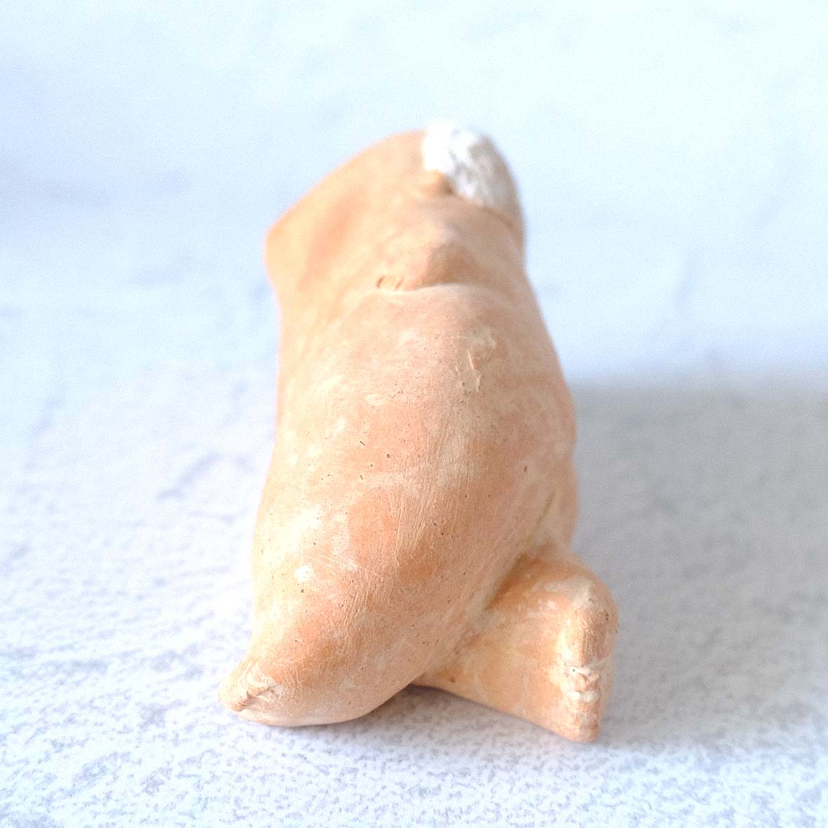 ｃｏｍｏｄｏ族の画像