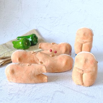 ｃｏｍｏｄｏ族の画像