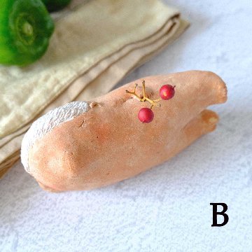 ｃｏｍｏｄｏ族の画像