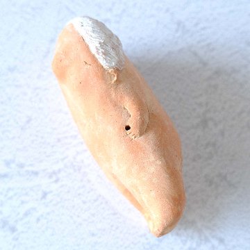 ｃｏｍｏｄｏ族の画像