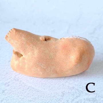 ｃｏｍｏｄｏ族の画像