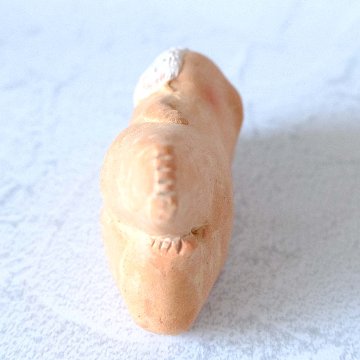 ｃｏｍｏｄｏ族の画像