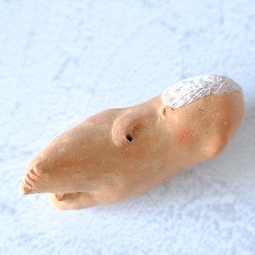 ｃｏｍｏｄｏ族の画像