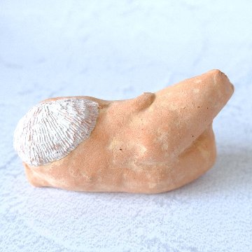 ｃｏｍｏｄｏ族の画像