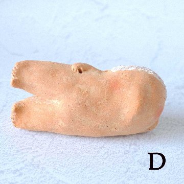 ｃｏｍｏｄｏ族の画像