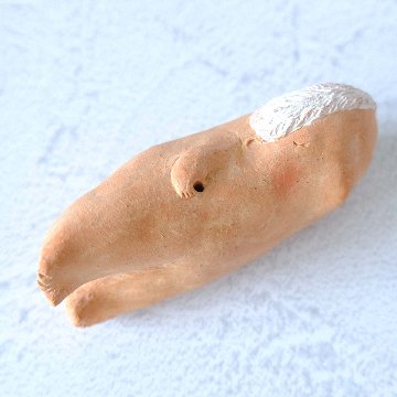 ｃｏｍｏｄｏ族の画像