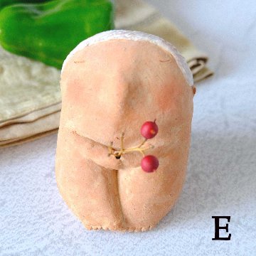 ｃｏｍｏｄｏ族の画像