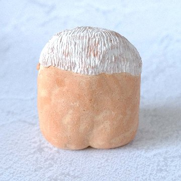 ｃｏｍｏｄｏ族の画像