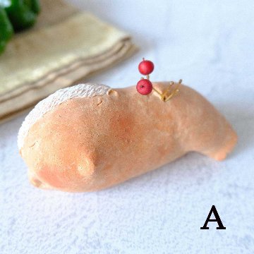 ｃｏｍｏｄｏ族の画像