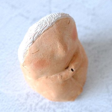 ｃｏｍｏｄｏ族の画像